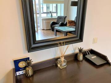 Фотографии Апартаменты Apartments in the City center г. Друскининкай (Литва) №4 Фото Апартаменты Apartments in the City center г. Друскининкай 4