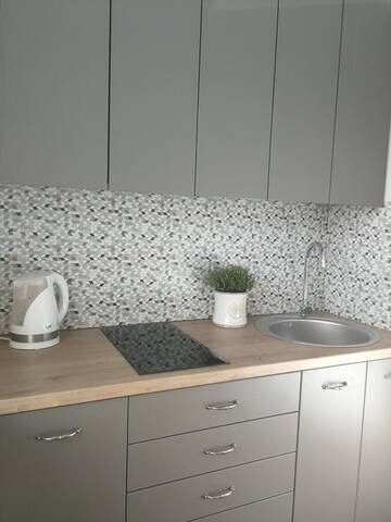 Фотографии Апартаменты Central Apartments Nojus г. Друскининкай (Литва) №4 Фото Апартаменты Central Apartments Nojus г. Друскининкай 4