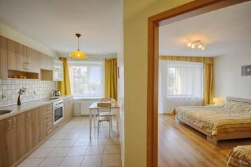 Фото номера Апартаменты с балконом Апартаменты Honey apartment г. Друскининкай 16