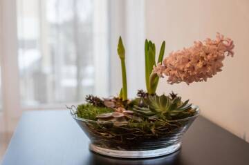 Фото номера Просторные апартаменты с 2 спальнями Апартаменты Spa Druskininkai Apartment г. Друскининкай 72