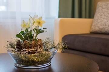 Фото номера Просторные апартаменты с 2 спальнями Апартаменты Spa Druskininkai Apartment г. Друскининкай 73