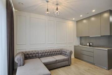 Фото номера Двухуровневые апартаменты Апартаменты Nikolas Apartamentai - Birstono 7 г. Друскининкай 8