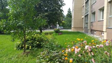 Фото номера Апартаменты с балконом Апартаменты Park apartment г. Друскининкай 36