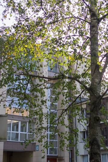 Фото номера Апартаменты с балконом Апартаменты Park apartment г. Друскининкай 39