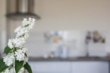 Фото номера Апартаменты с балконом Апартаменты Violetos Lux Apartamentai г. Друскининкай 29
