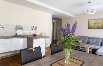 Фото номера Апартаменты с балконом Апартаменты Violetos Lux Apartamentai г. Друскининкай 12