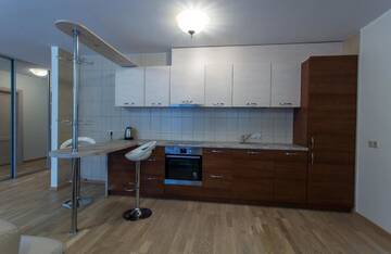 Фото номера Апартаменты с 2 спальнями Апартаменты Violetos Lux Apartamentai г. Друскининкай 10