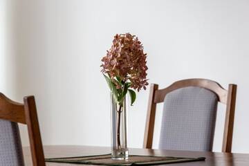 Фото номера Апартаменты с балконом Апартаменты Violetos Lux Apartamentai г. Друскининкай 3
