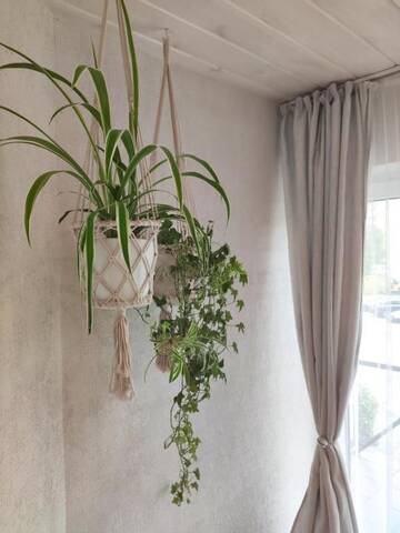 Фото номера Улучшенные апартаменты Гостевой дом Family house г. Друскининкай 6