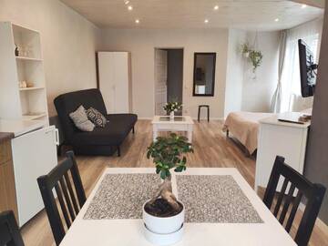 Фото номера Улучшенные апартаменты Гостевой дом Family house г. Друскининкай 7