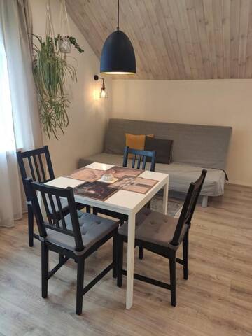 Фото номера Апартаменты Гостевой дом Family house г. Друскининкай 3