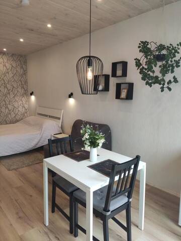 Фото номера Апартаменты с балконом Гостевой дом Family house г. Друскининкай 4