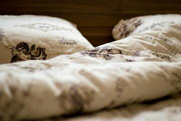 Фото Апартаменты Central Apartments Karolina г. Друскининкай 5