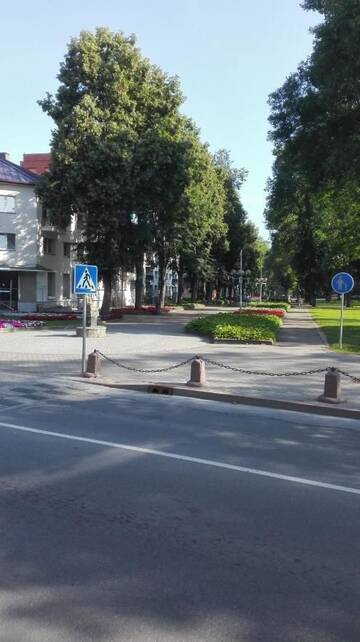 Фото номера Апартаменты Апартаменты Butas Vilniaus alėjoje г. Друскининкай 16
