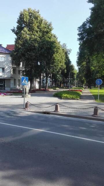 Фото номера Апартаменты Апартаменты Butas Vilniaus alėjoje г. Друскининкай 19