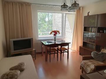 Фото номера Апартаменты с 1 спальней Апартаменты Amber apartamentai г. Друскининкай 8