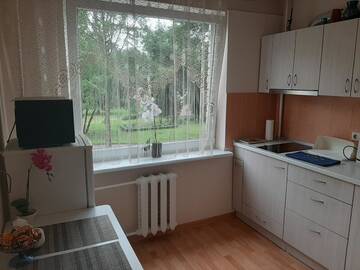 Фото номера Апартаменты с 1 спальней Апартаменты Amber apartamentai г. Друскининкай 18