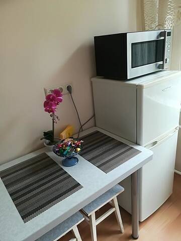 Фото номера Апартаменты с 1 спальней Апартаменты Amber apartamentai г. Друскининкай 21