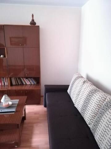 Фото номера Апартаменты с 1 спальней Апартаменты Amber apartamentai г. Друскининкай 36