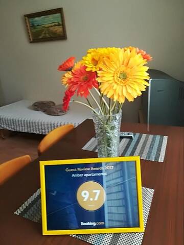 Фото номера Апартаменты с 1 спальней Апартаменты Amber apartamentai г. Друскининкай 32