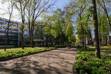 Фото номера Апартаменты с 1 спальней Апартаменты Korio Apartments, Druskininkai г. Друскининкай 4