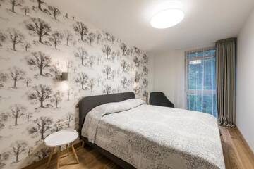 Фото номера Апартаменты с 1 спальней - «Зима» Апартаменты SoulHouse apartments г. Друскининкай 18