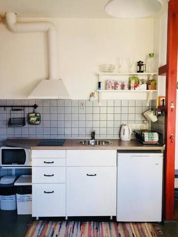 Фото номера Апартаменты с террасой (для 2-3 взрослых) Апарт-отели Guest House Mr Fox г. Друскининкай 14