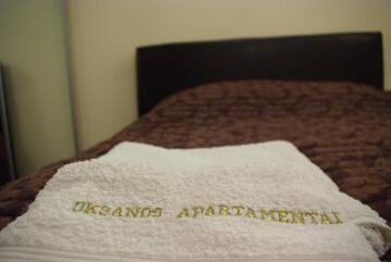 Фото номера Апартаменты с террасой Апартаменты Oksapartment г. Друскининкай 46