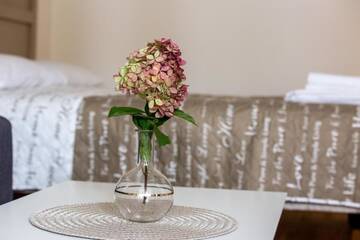 Фото номера Апартаменты-студио Апартаменты Violetos Lux Apartamentai2 г. Друскининкай 25