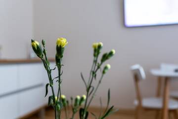 Фото номера Апартаменты с 2 спальнями Апартаменты Violetos Lux Apartamentai2 г. Друскининкай 26