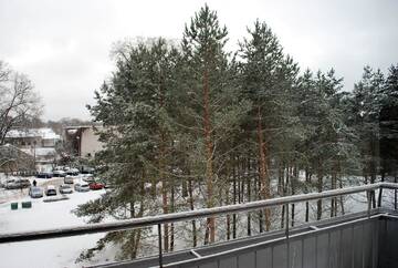 Фото номера Апартаменты с 1 спальней Апартаменты Pietų Apartamentai prie AQUA Parko г. Друскининкай 12