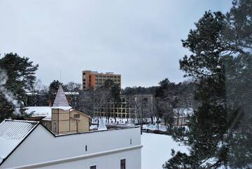 Фото номера Апартаменты с 1 спальней Апартаменты Vakaro Apartamentai prie AQUA Parko г. Друскининкай 37