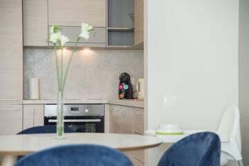 Фото номера Апартаменты с 2 спальнями Апартаменты Asian Magnolia Boutique Apartments г. Друскининкай 4