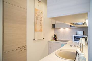 Фото номера Апартаменты с 1 спальней Апартаменты Asian Magnolia Boutique Apartments г. Друскининкай 16