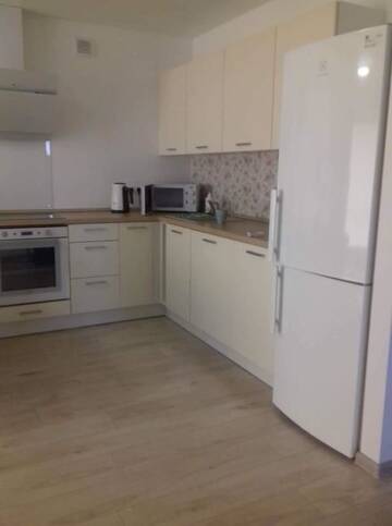 Фото номера Апартаменты с 1 спальней Апартаменты New modern flat in Druskininkai г. Друскининкай 15