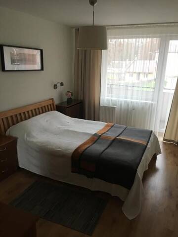 Фото номера Апартаменты с 1 спальней Апартаменты Good Location г. Друскининкай 15