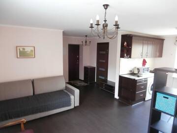 Фото номера Апартаменты-студио Апартаменты Markus Apartamentai г. Друскининкай 11