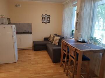 Фото номера Апартаменты с 1 спальней Апартаменты AQUA Apartamentai prie AQUA PARKO г. Друскининкай 10