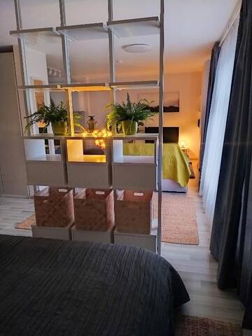 Фото номера Апартаменты-студио Апартаменты Eleni Studio Druskininkai г. Друскининкай 21