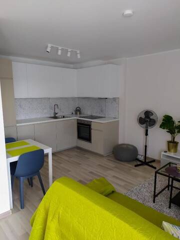 Фото номера Апартаменты-студио Апартаменты Eleni Studio Druskininkai г. Друскининкай 25