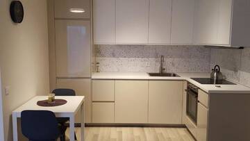 Фото номера Апартаменты-студио Апартаменты Eleni Studio Druskininkai г. Друскининкай 27
