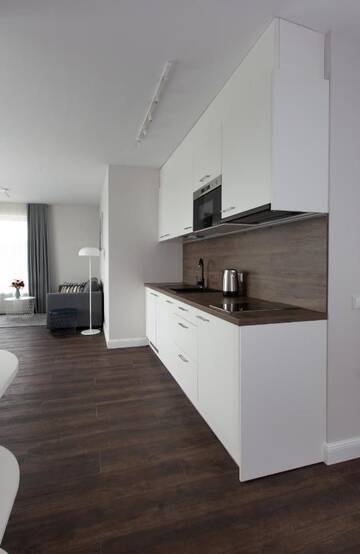 Фото номера Апартаменты-студио Апартаменты Neravu apartamentai 39 г. Друскининкай 7