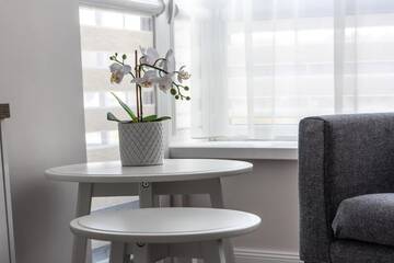 Фото номера Апартаменты-студио Апартаменты Neravu apartamentai 39 г. Друскининкай 8
