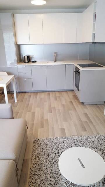 Фото номера Апартаменты-студио Апартаменты Aina Studio Druskininkai г. Друскининкай 14