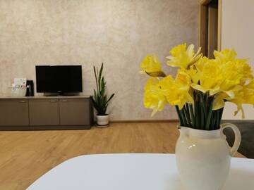 Фото номера Апартаменты с 1 спальней Апартаменты Central Apartments Nojus г. Друскининкай 29