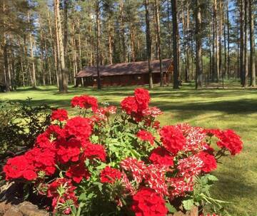 Фото номера Дом с 2 спальнями Дома для отпуска Rojaus Slenis г. Друскининкай 86