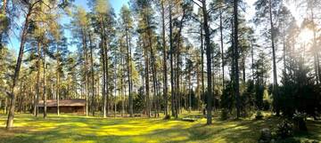 Фото номера Дом с 2 спальнями Дома для отпуска Rojaus Slenis г. Друскининкай 67