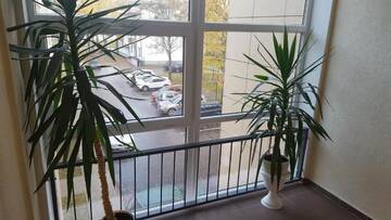 Фото номера Апартаменты с 1 спальней Апартаменты Ice apartment г. Друскининкай 63