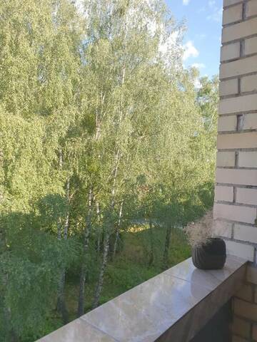 Фото номера Апартаменты с балконом Апартаменты Holiday Apartments г. Друскининкай 18