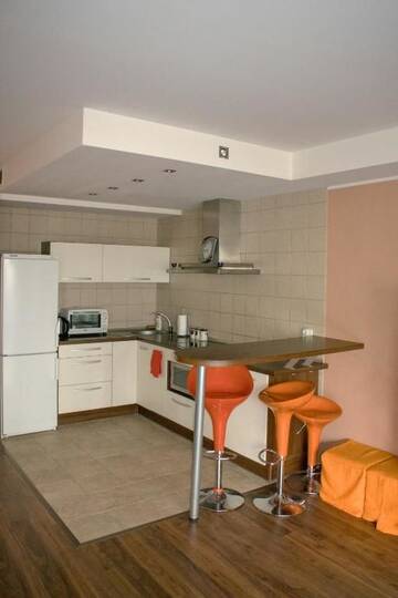 Фото номера Апартаменты с 1 спальней Апартаменты Modern Apartment г. Друскининкай 95
